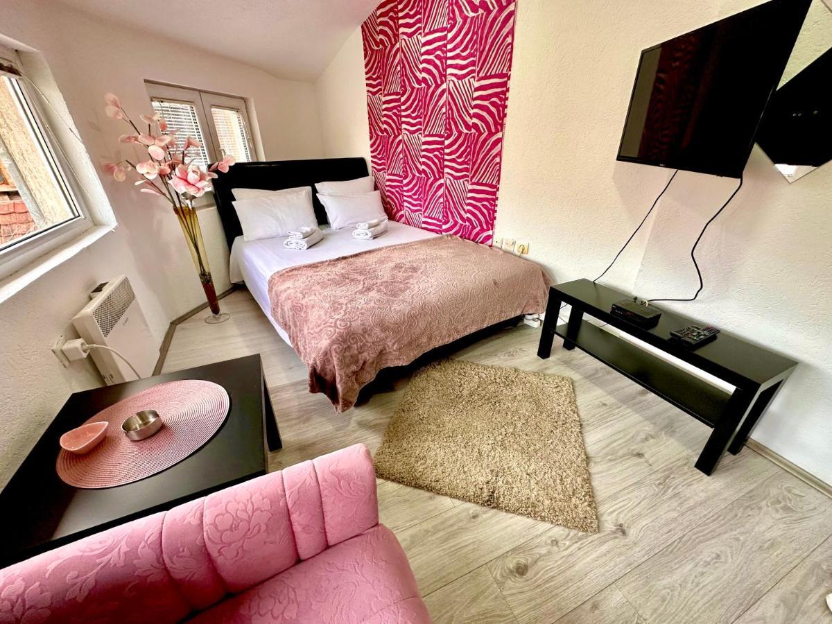 Apartmani Aleksandra U Centru Grada Kragujevac Eksteriør bilde