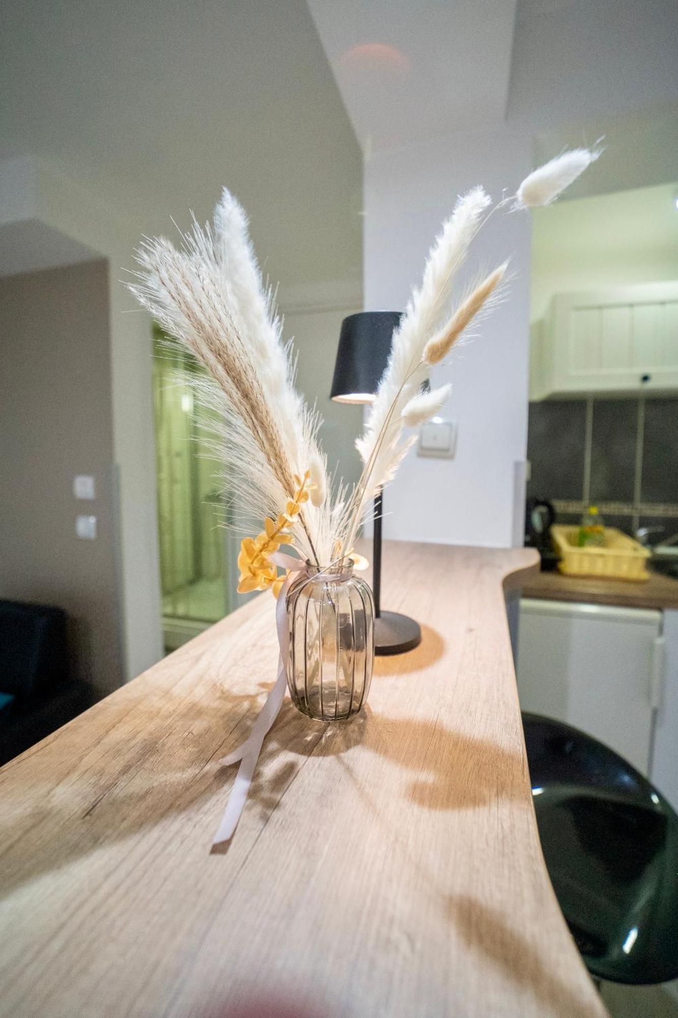 Apartmani Aleksandra U Centru Grada Kragujevac Eksteriør bilde